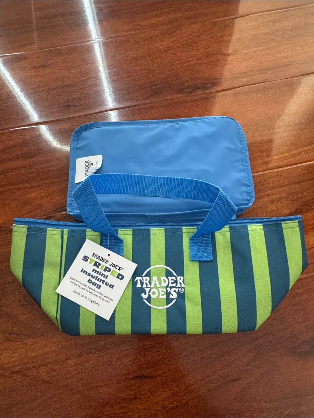 Striped Trader Joe’s Mini Insulated Tote Bag in Blue and Green